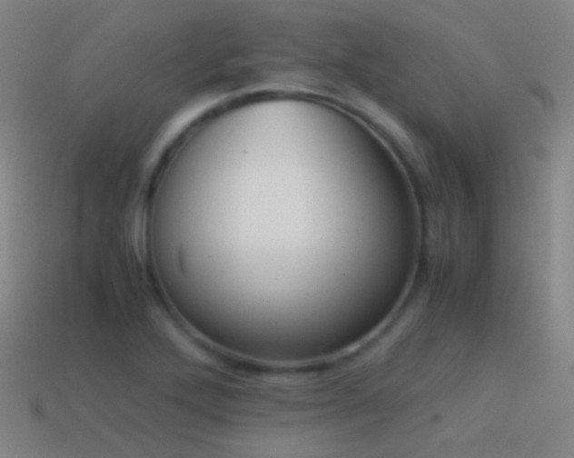X0000114411272200910161158