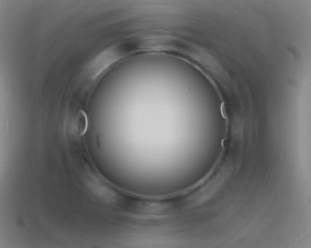 X0000114411273200910161158