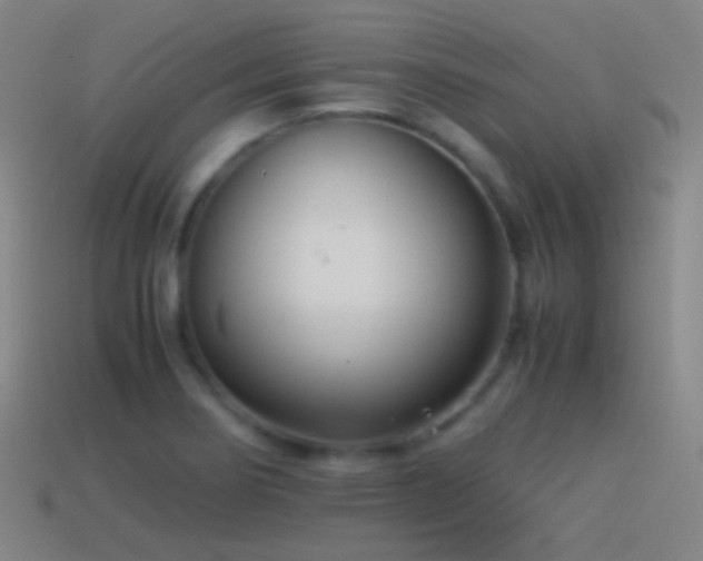 X0000114411274200910161158