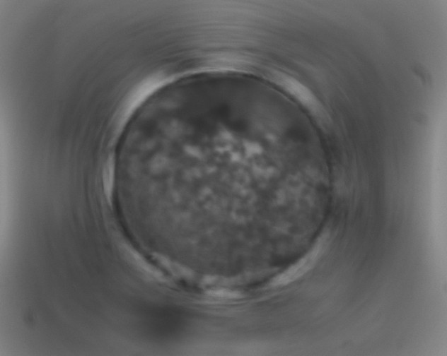X0000114411275200910161158