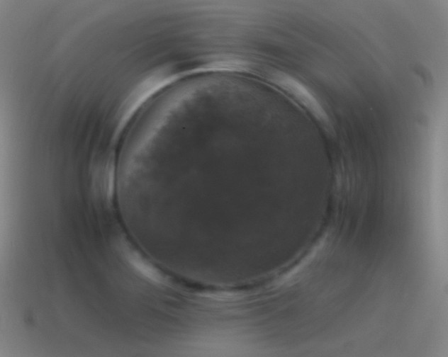 X0000114411276200910161158