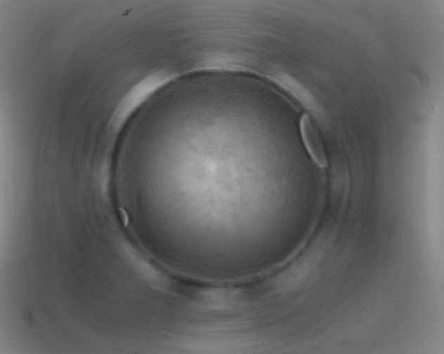 X0000114411277200910161158