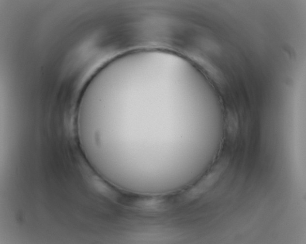X0000114411278200910161158