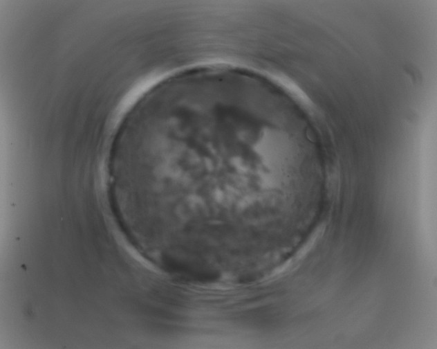 X0000114411279200910161158