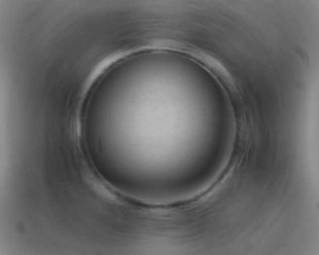 X0000114411280200910161158