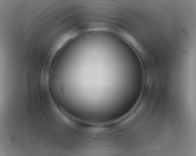 X0000114411282200910161158