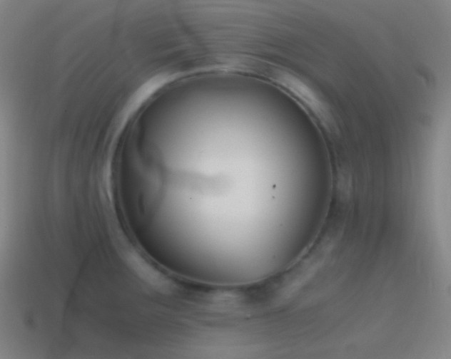 X0000114411283200910161158