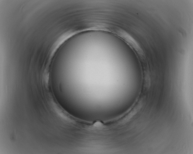 X0000114411284200910161158