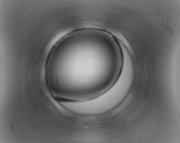 X0000114411285200910161158