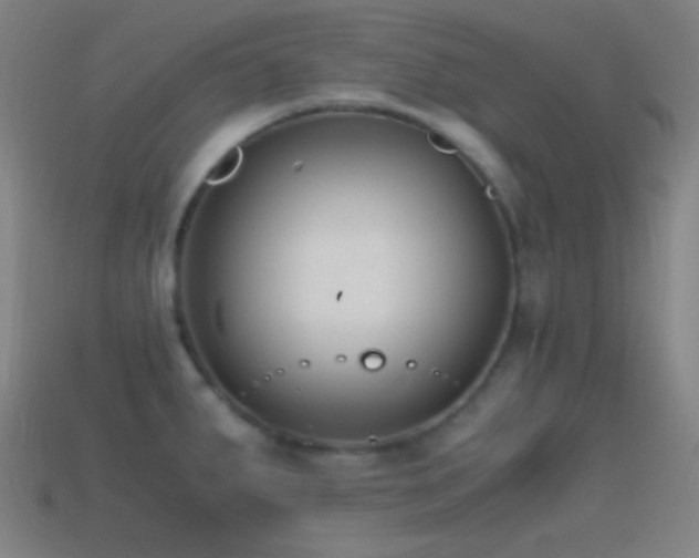 X0000114411287200910161158