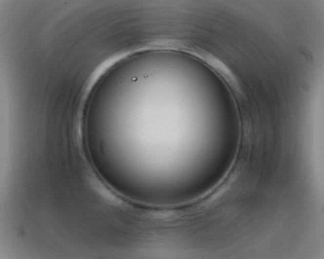X0000114411288200910161158