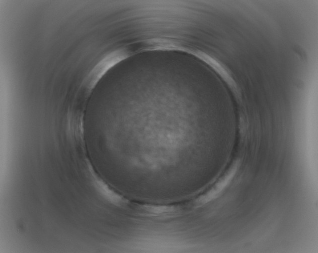 X0000114411289200910161158