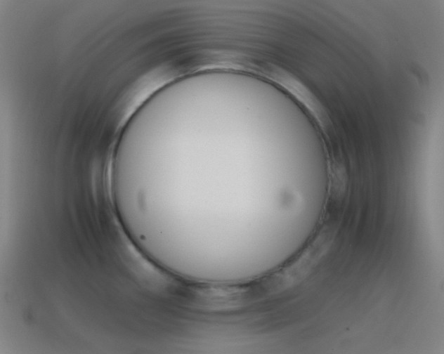 X0000114411290200910161158