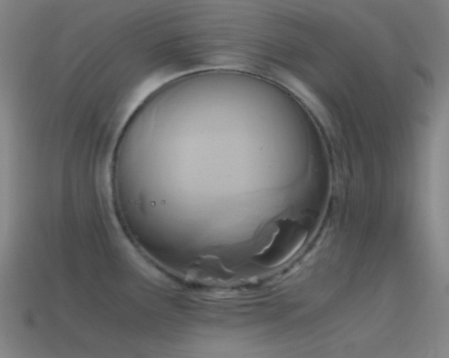 X0000114411291200910161158