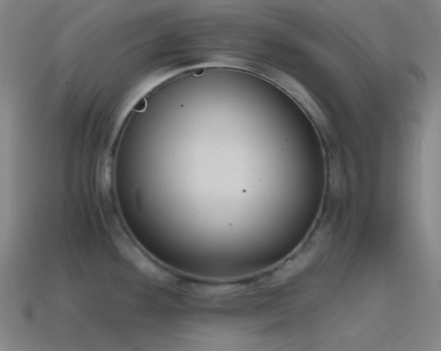 X0000114411292200910161158