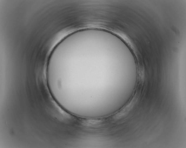 X0000114411294200910161158