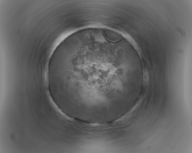 X0000114411295200910161158