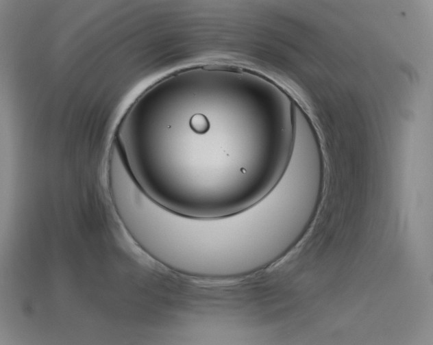 X0000114411296200910161158