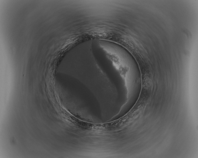 X0000114411297200910161157