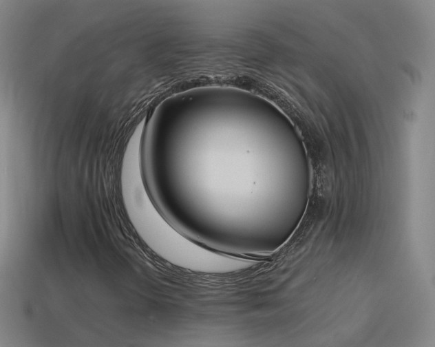 X0000114411298200910161157