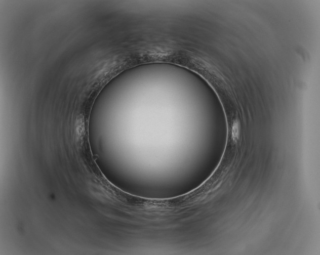 X0000114411299200910161157