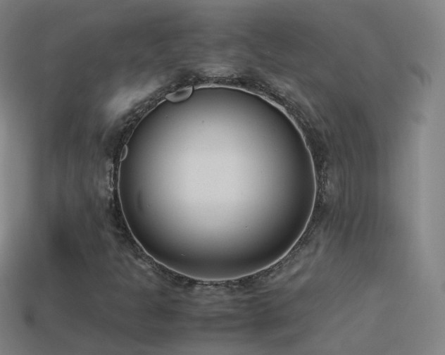 X0000114411301200910161157