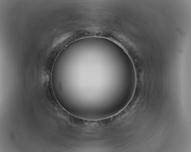 X0000114411302200910161157