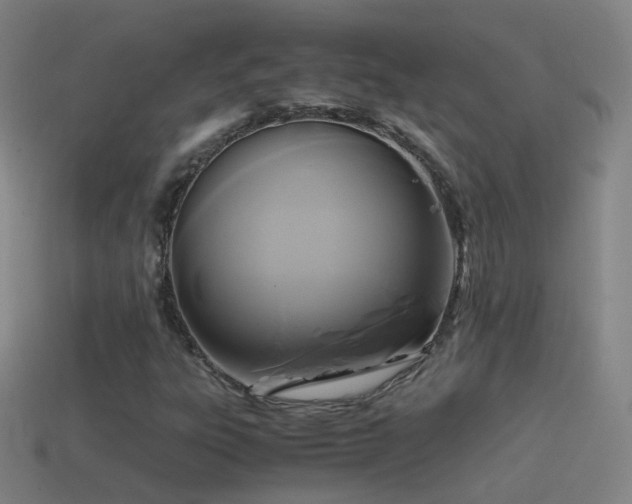 X0000114411303200910161157