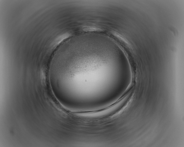X0000114411305200910161157