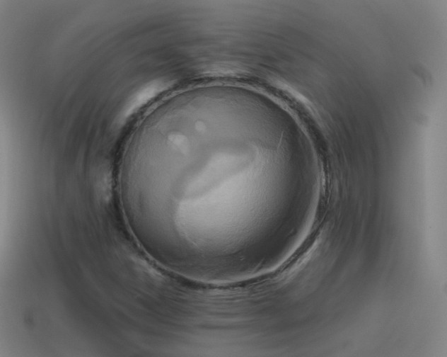 X0000114411306200910161157