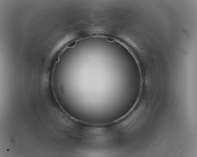 X0000114411309200910161157