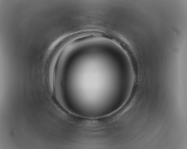 X0000114411310200910161157
