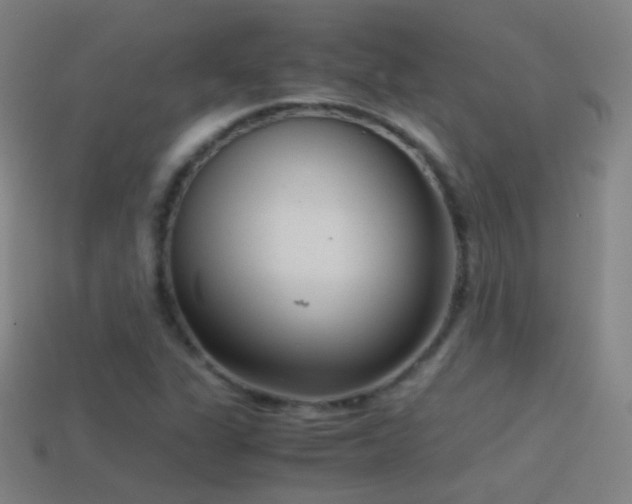 X0000114411311200910161157