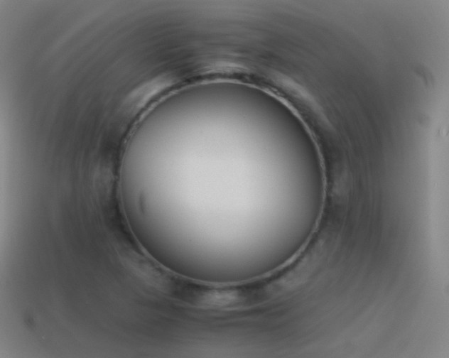 X0000114411313200910161157