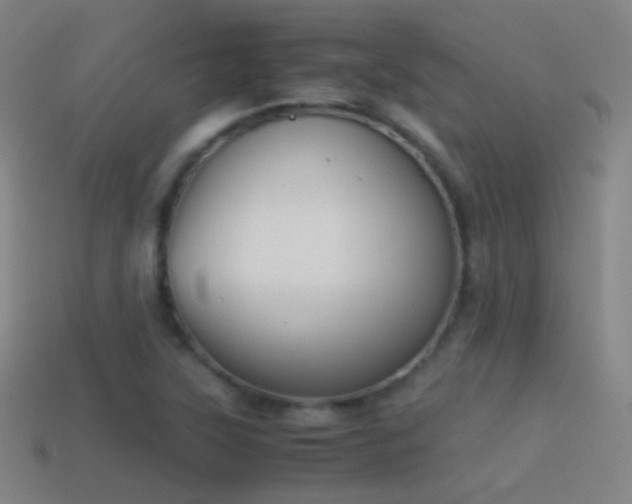 X0000114411315200910161157