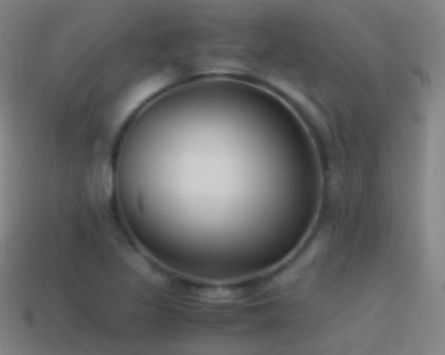 X0000114411317200910161157