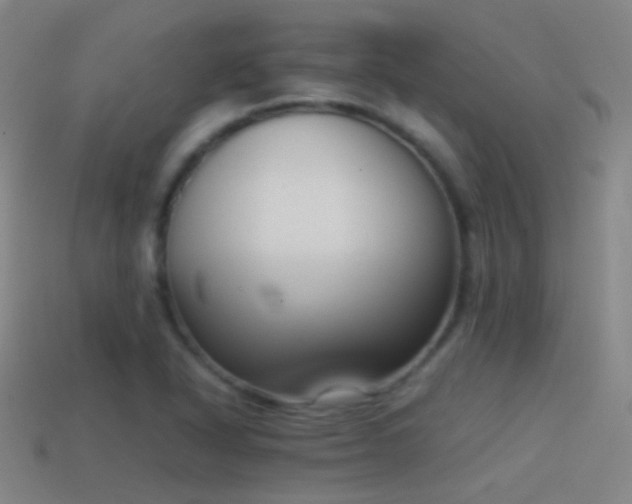 X0000114411318200910161157