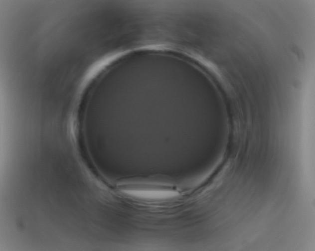 X0000114411319200910161157