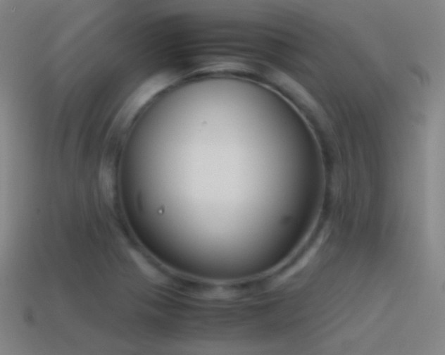 X0000114411321200910161157