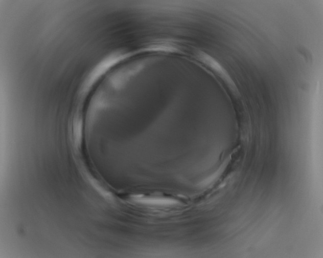 X0000114411323200910161157
