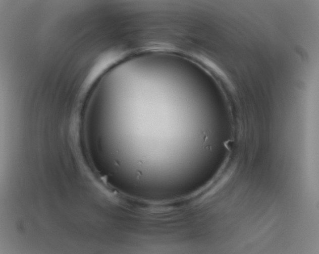 X0000114411325200910161157