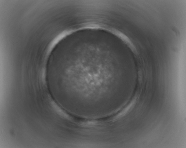 X0000114411326200910161157