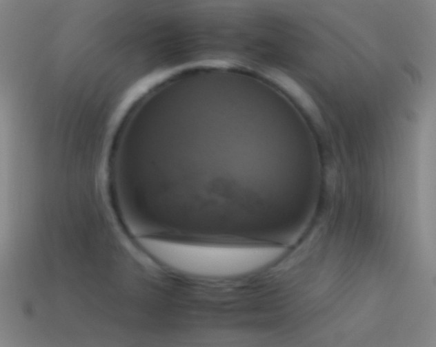 X0000114411327200910161157