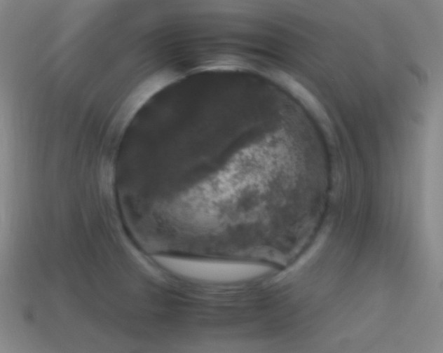 X0000114411329200910161157