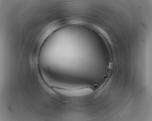 X0000114411330200910161157