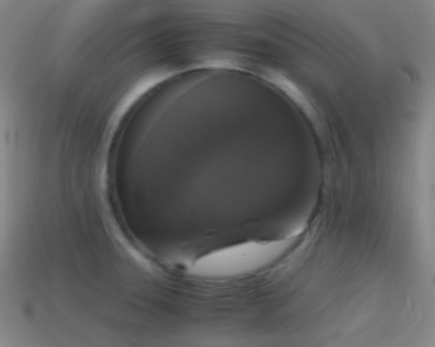 X0000114411331200910161157