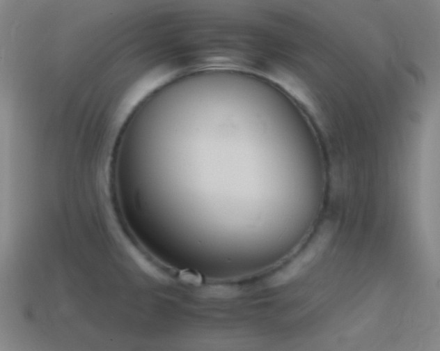 X0000114411333200910161157