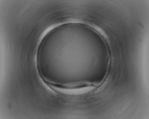 X0000114411334200910161157