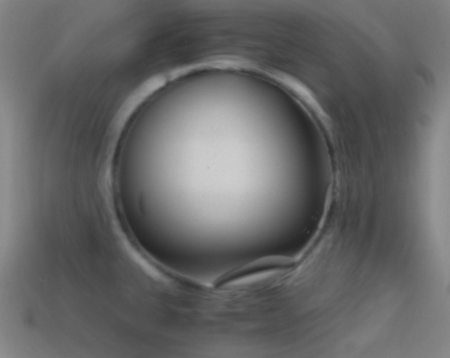 X0000114411335200910161157