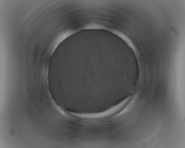 X0000114411337200910161157